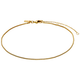 pilgrim pallas gold anklet