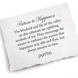 pyrrha return to happiness silver talisman necklace