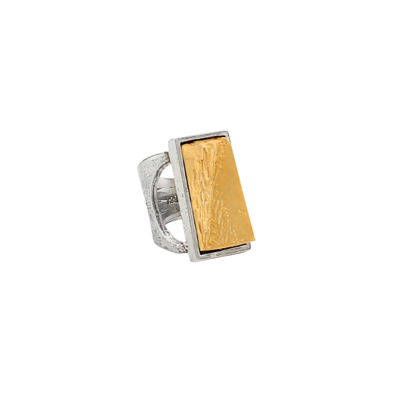 anne-marie gagnon tim two tone ring