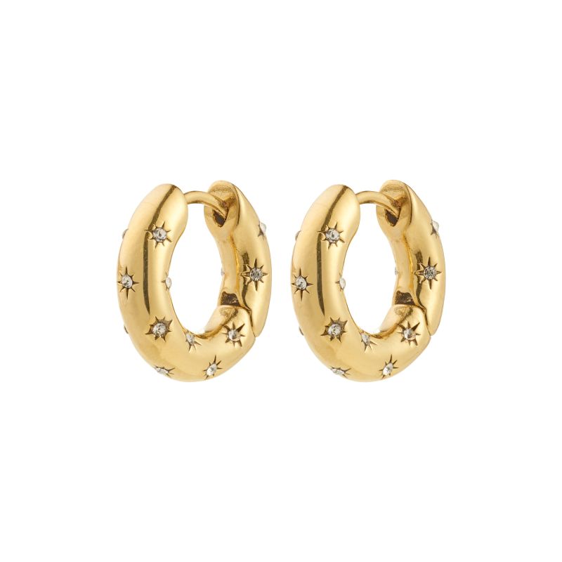 pilgrim navaeh gold hoop earring