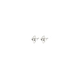 Sanine Ring + Stud Gift Set