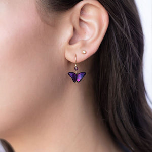 tashi tiny cz stud earring gold