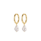 gorjana gold pearl cove hoop earring