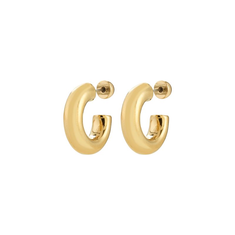 pilgrim phase gold small earring