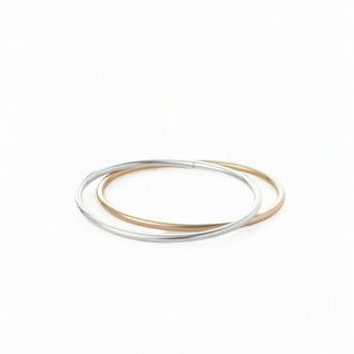 jenny bird dane 2 piece two tone bangles