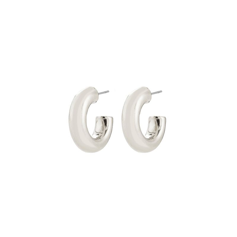 pilgrim phase silver small earring