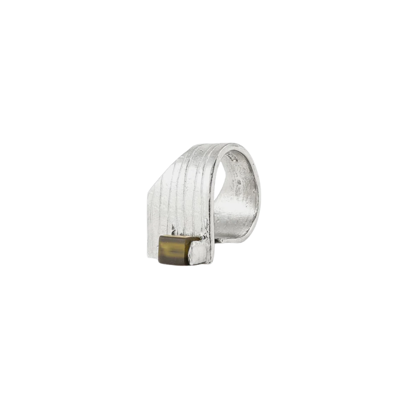 anne-marie chagnon cetus siver forest ring