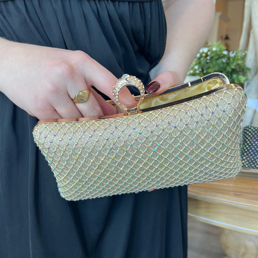 Fancy Mesh Clutch