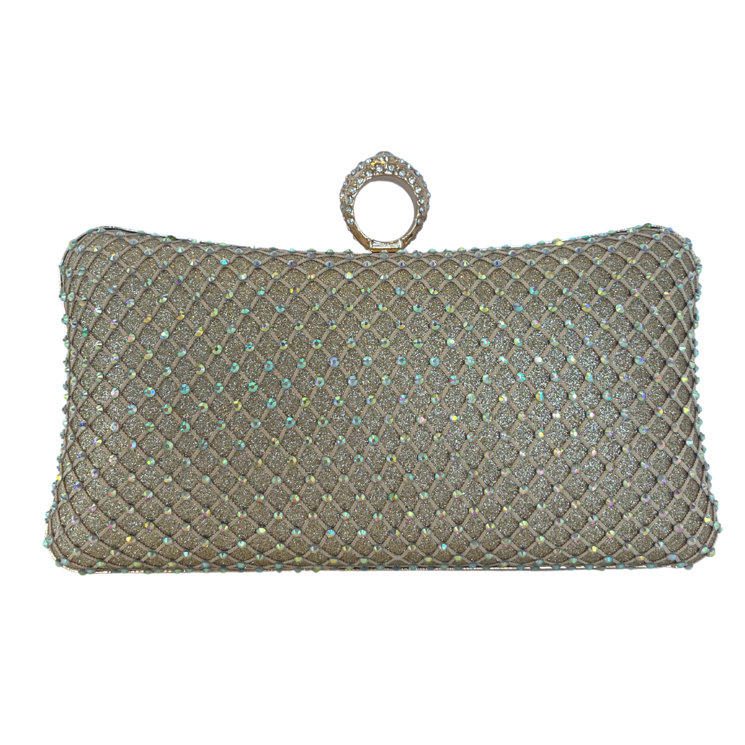 Fancy Mesh Clutch